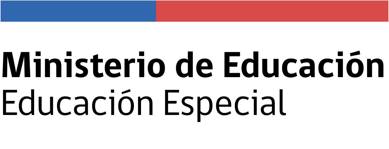 Educación Especial Mineduc