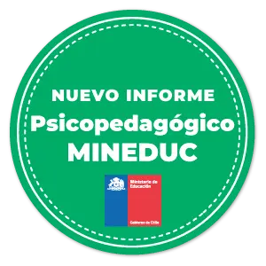 Nuevo Informe Psicopedagógico Mineduc